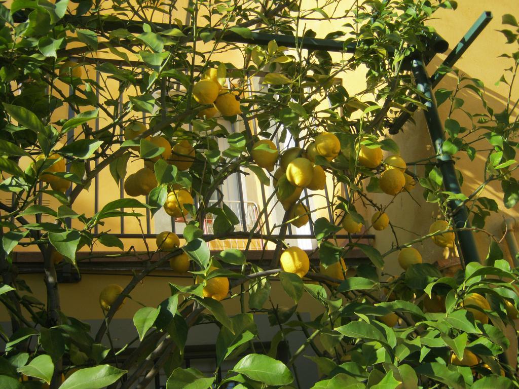 Holiday Home Il Borgo Degli Agrumi Uzzano Εξωτερικό φωτογραφία