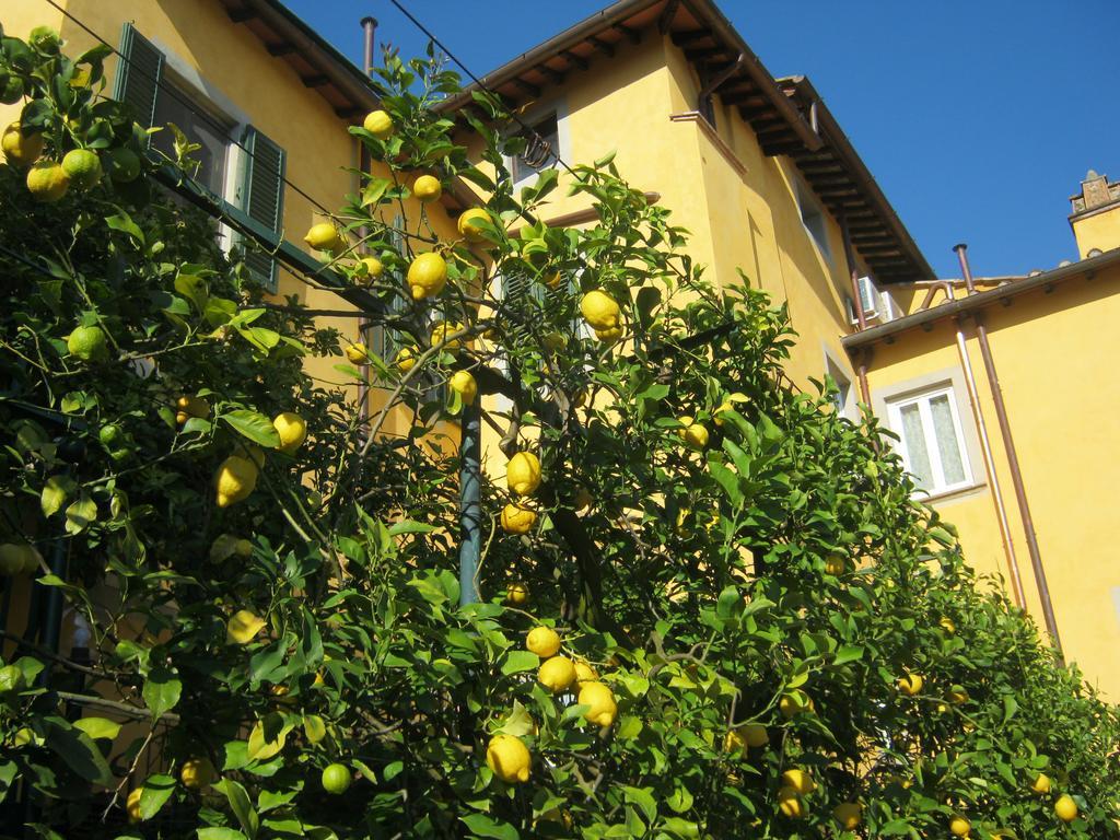 Holiday Home Il Borgo Degli Agrumi Uzzano Εξωτερικό φωτογραφία